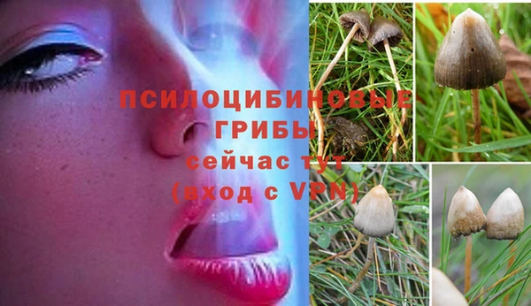 2c-b Кулебаки
