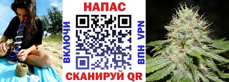 Купить закладки  Салаир  Марихуана планчик 
